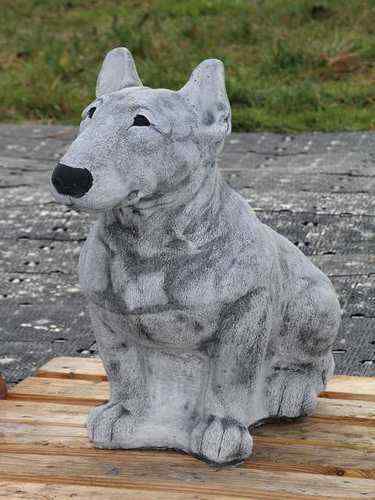 Bull Terrier H64cm Hund