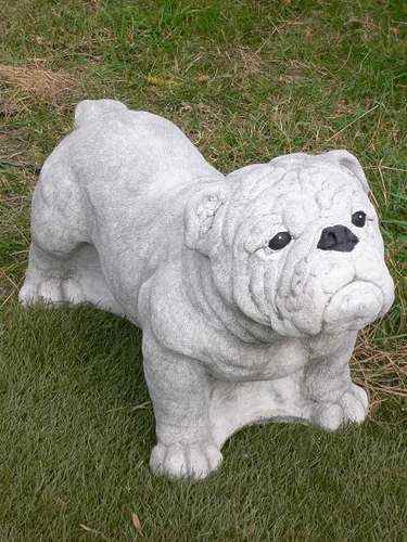 Englische Bulldogge stehend 43x30x70 cm Hund