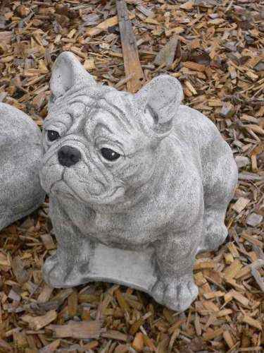 Französische Bulldogge 40x47x24 cm Hund Steinfigur