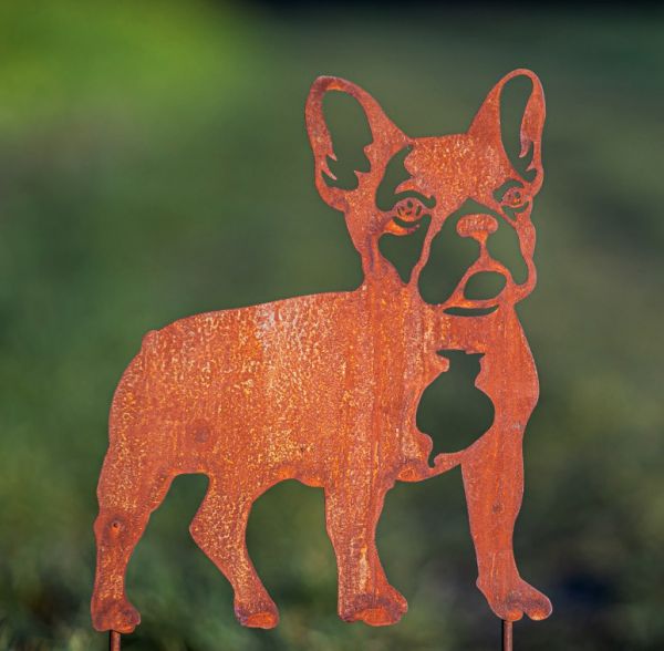Hund Französische Bulldogge 31x27cm zum Stecken Gartenstecker Edelrost